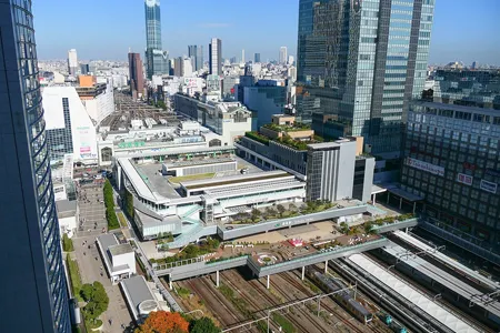 新宿で後悔しない医療脱毛クリニックの選び方