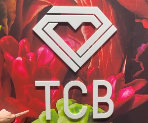 TCB 東京中央美容外科