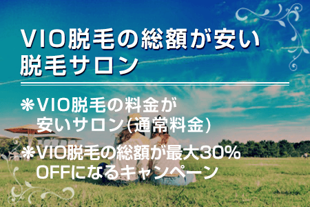 Vio脱毛の安いお試し体験があるキャンペーン一覧 最新版 体験プランをはしごしてもムダ毛が減らないのはなぜ エピステ