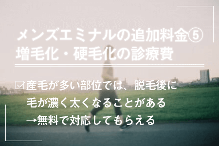 増毛化・硬毛化の診療費