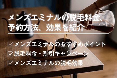 メンズエミナルの脱毛料金、予約方法、効果、口コミを紹介｜ヒゲ脱毛、全身脱毛はいくらかかる？